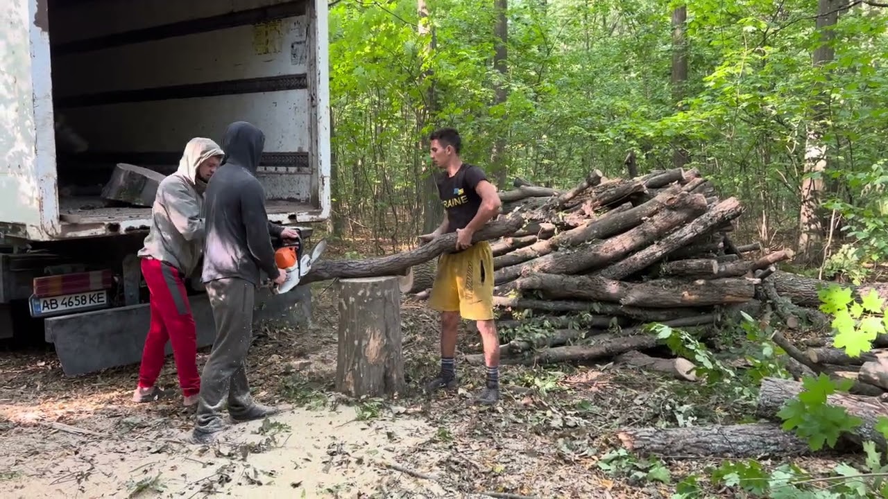21 вересня 2023 р.🌲STIHL MS462 C-M🌲