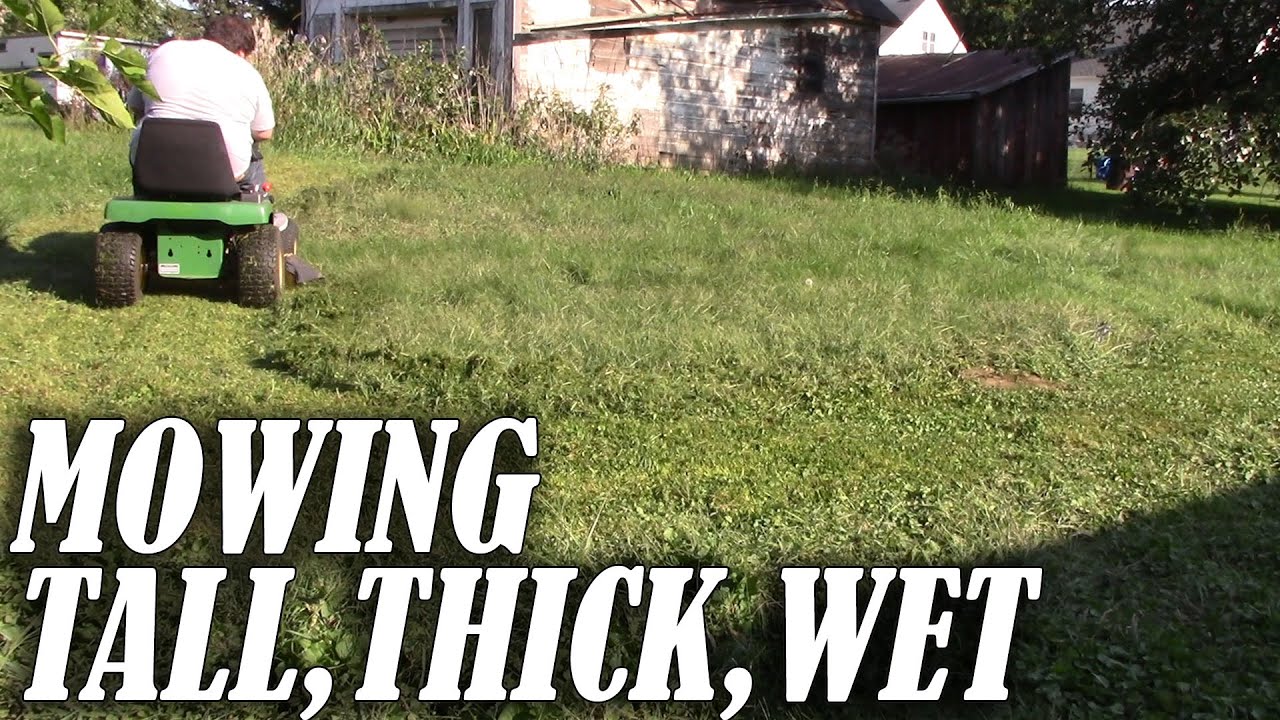 MOWING TALL, THICK, WET GRASS | John Deere STX38