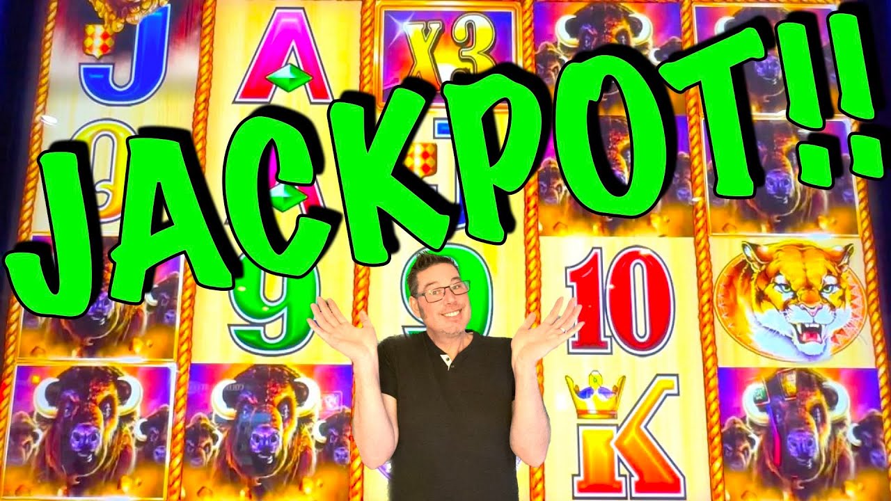 What a COMEBACK! HUGE BUFFALO JACKPOT!! Buffalo Gold & Timber Wolf 🎉💰🥳