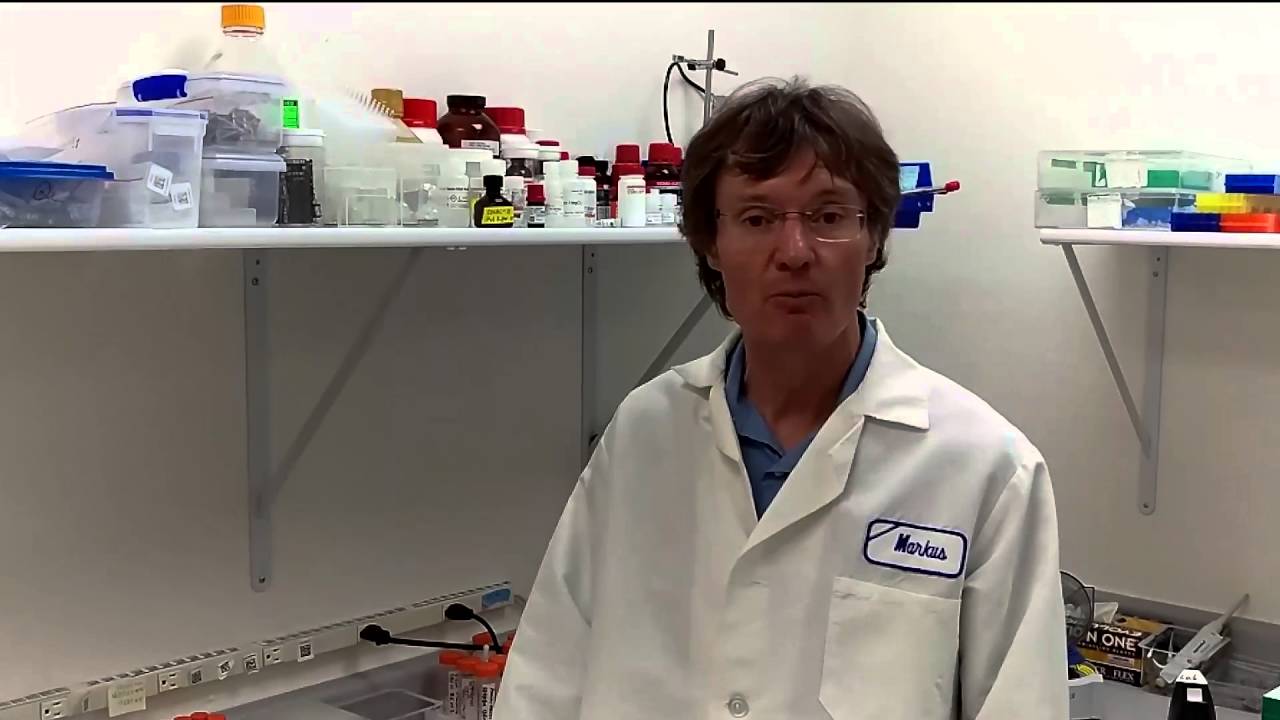 Product Review: Bioline MyTaq Blood-PCR Kit