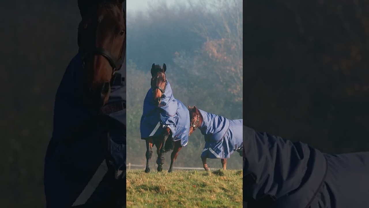 Introducing the LE Boxter 100g Turnout | Leader Equine AW25