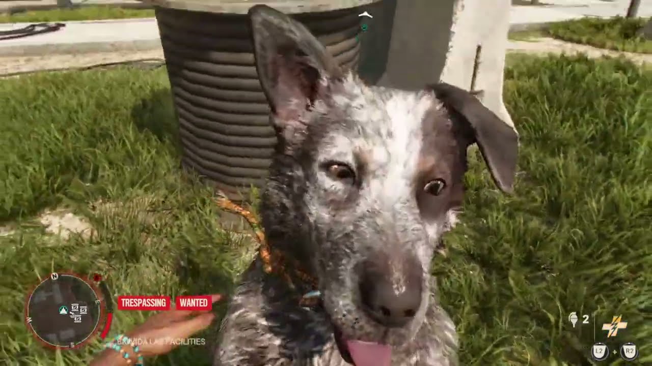 Far Cry 6 - Boom Boom kills another dog