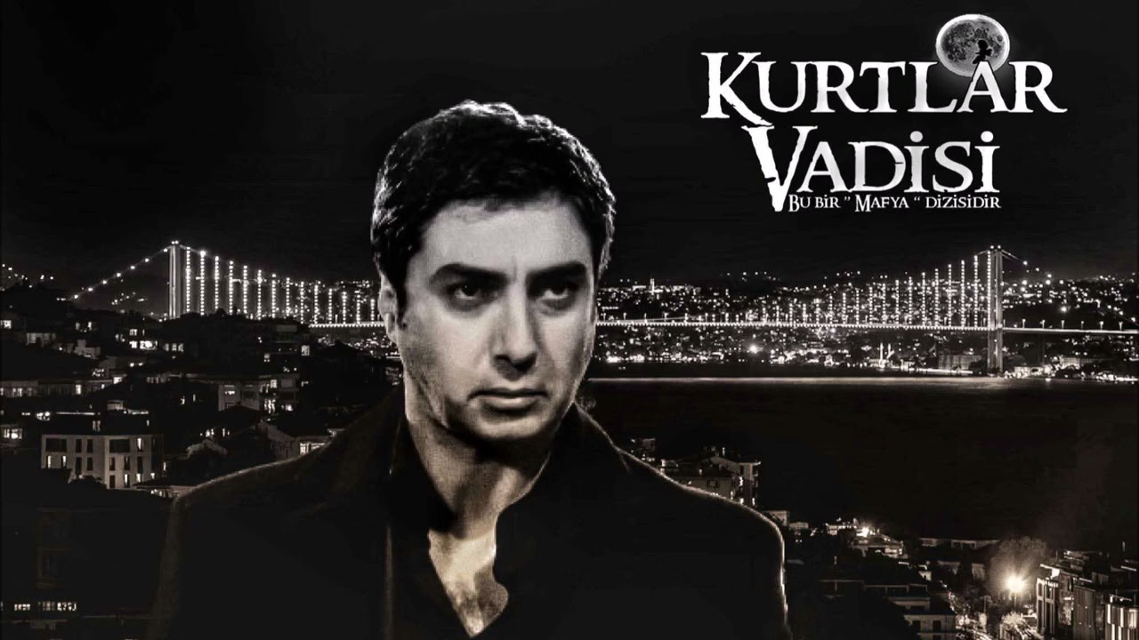 Kurtlar Vadisi Pusu v2011