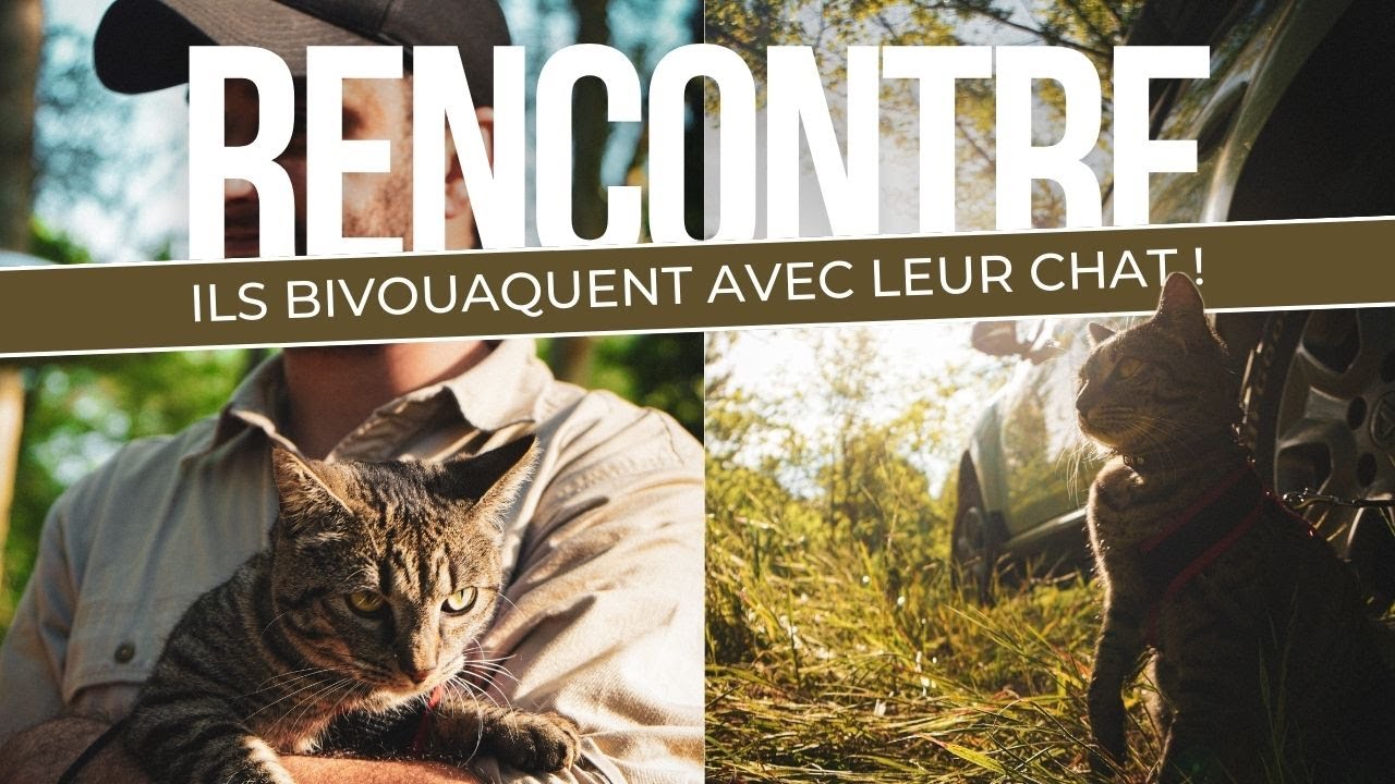 Bivouac en Duster 4x4 avec un Chat Aventurier - Une Expérience Inoubliable ! 🐱🚙 Portugal EP1