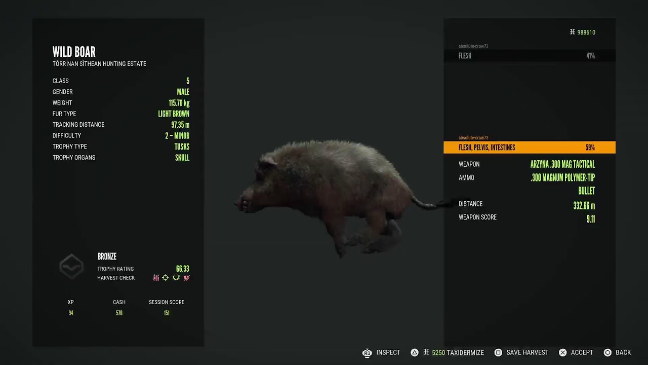 Doing the wild boar grind and more. Can we finally get him tonight?