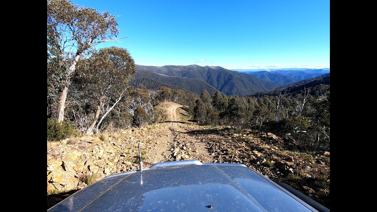 Gunns Track - VHC