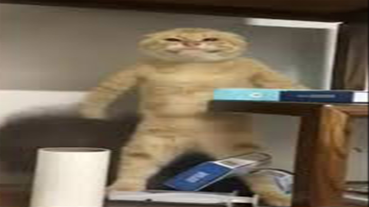 EKİPLE ''EN TEHLİKELİ KARA HAYVANI HANGİSİ?'' ÇÖZÜYORUZ