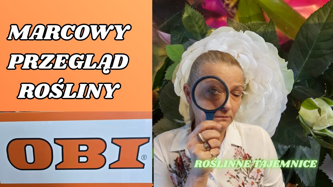 Rośliny w OBI