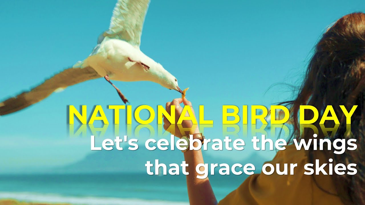 National Bird Day 2024