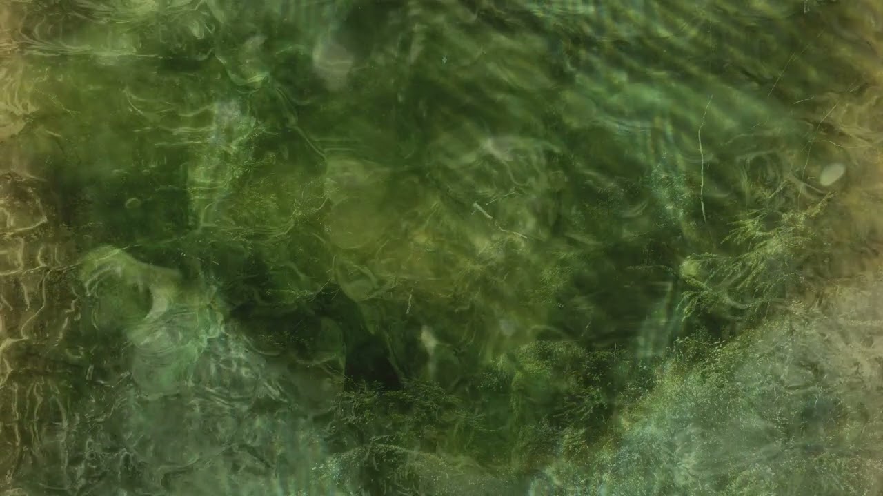 Praise to the Flowers Unseen - ambient jam