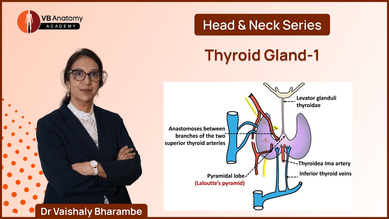 Thyroid Gland -1: Anatomy, Structure, and Clinical Insights with Dr. Vaishaly Bharambe