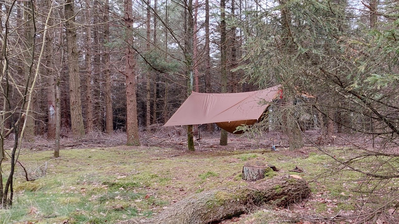 Overnight stay SBB Twilhaar with spijkerpoes #hammockcamping