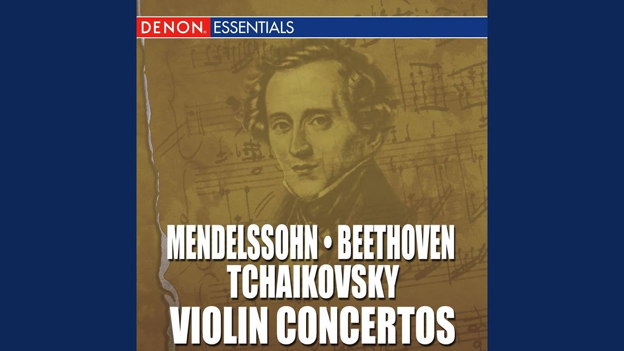 Violin Concerto in D Major, Op. 35: II. Canzonetta: Andante