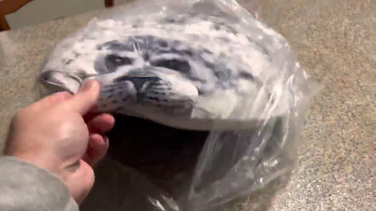 Phil The Seal Pillow