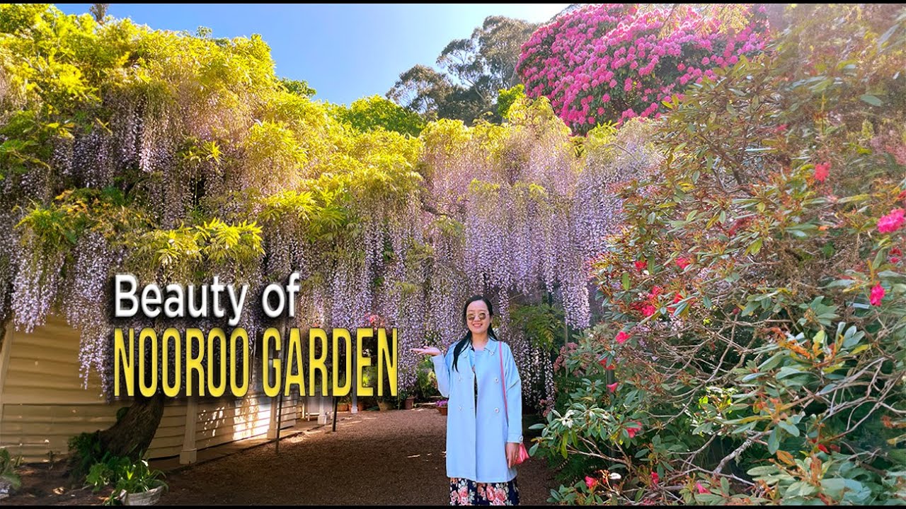 A Visual Symphony of Blooms: Unveiling the Enchanting Beauty of Nooroo Garden in Spring