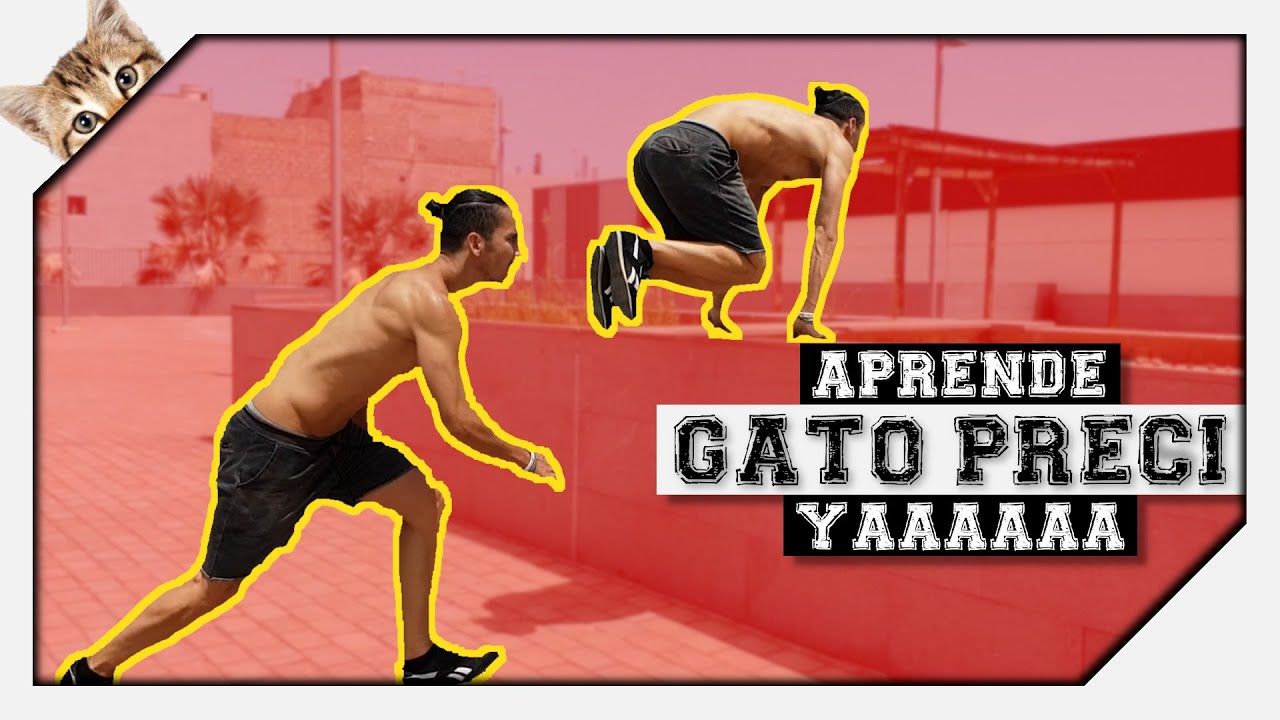 COMO HACER UN GATO PRECI 🔥 | TUTORIAL de PARKOUR FACIL 💡