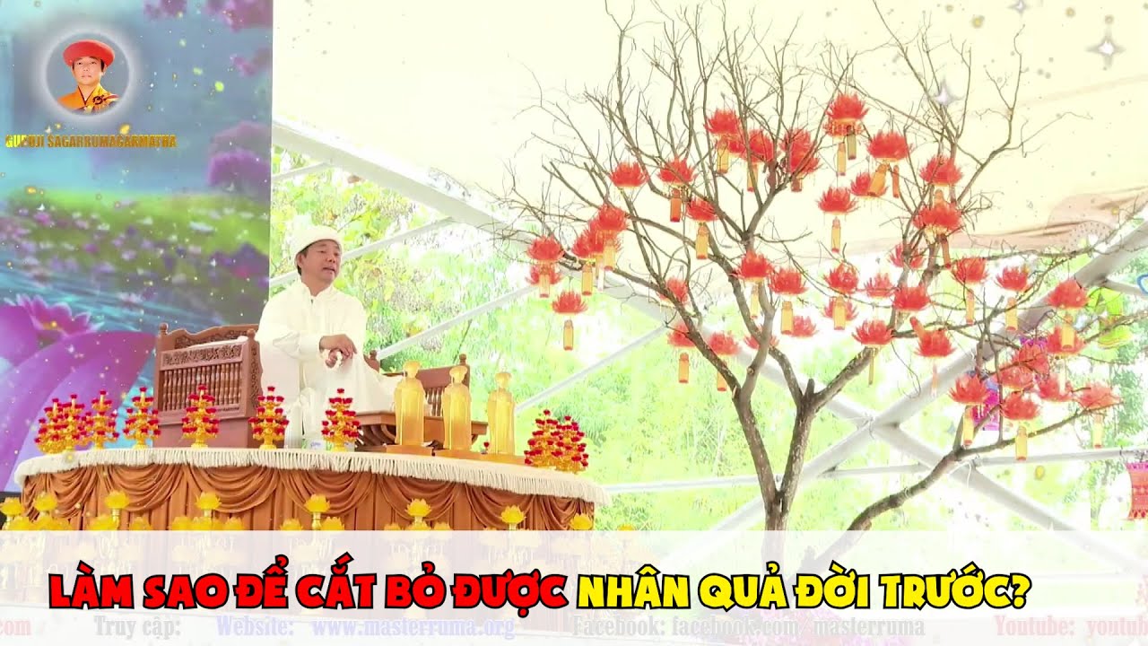 Pháp Thoại 34: Làm Sao Để Cắt Bỏ Được Nhân Quả Đời Trước