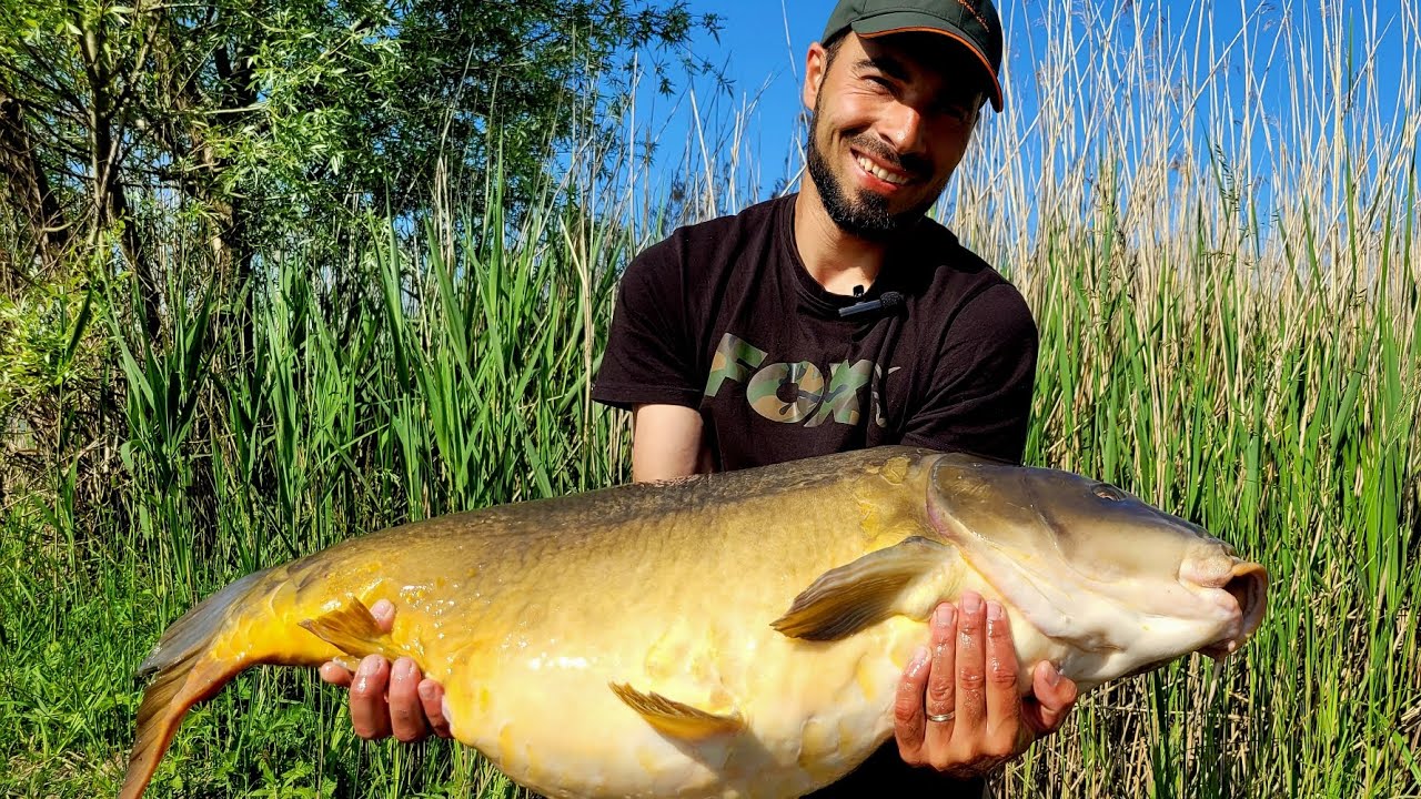PÊCHE À LA CARPE - Week-end Pentecôte - Mai 2023