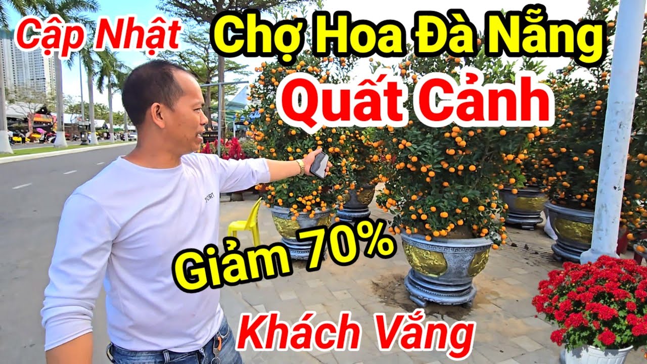 Tin Nóng 27 Tết: Quất Giảm Sâu Ở Chợ Đà Nẵng | Đào, Mai, Cúc Đồng Loạt Hạ Giá