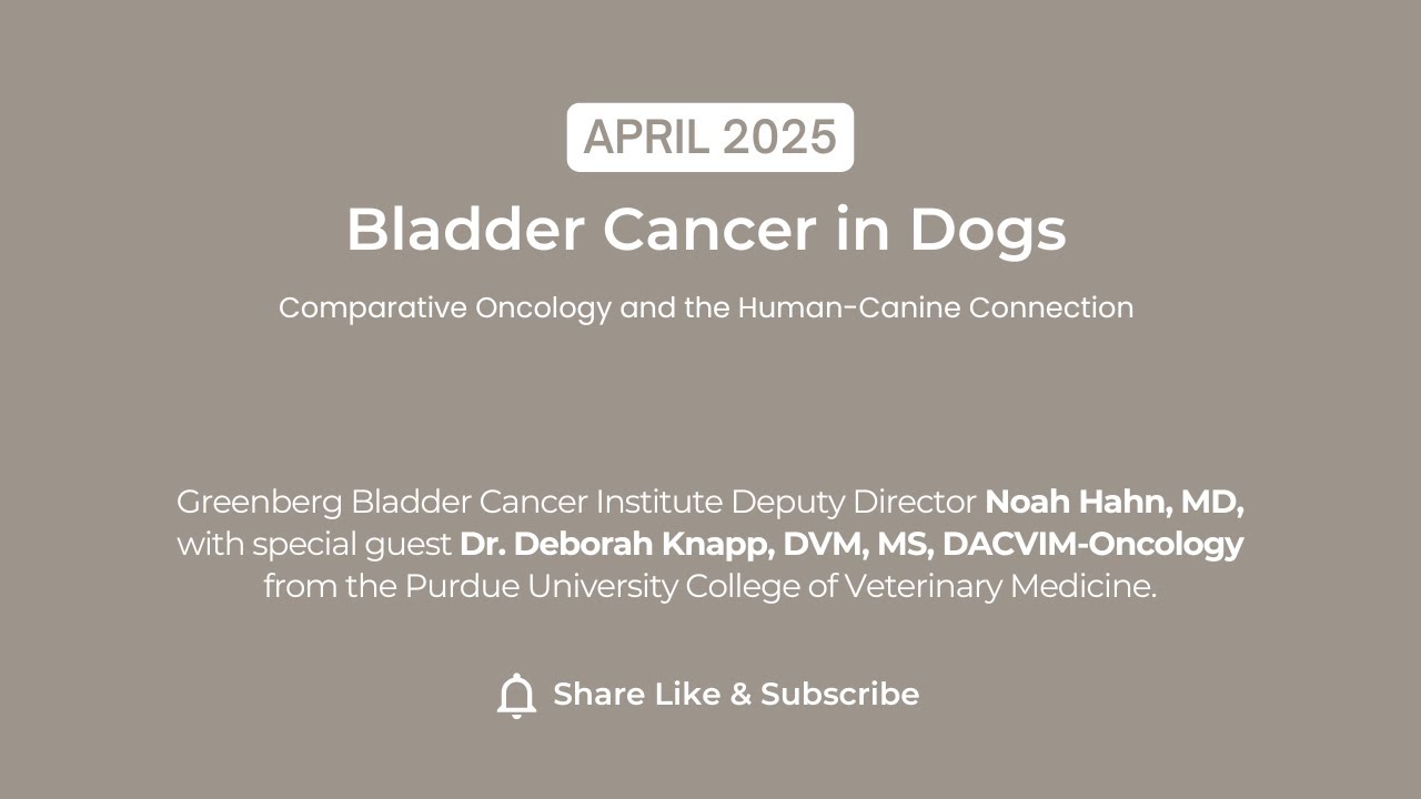 Bladder Cancer in Dogs: Comparative Oncology and the Human-Canine Connection