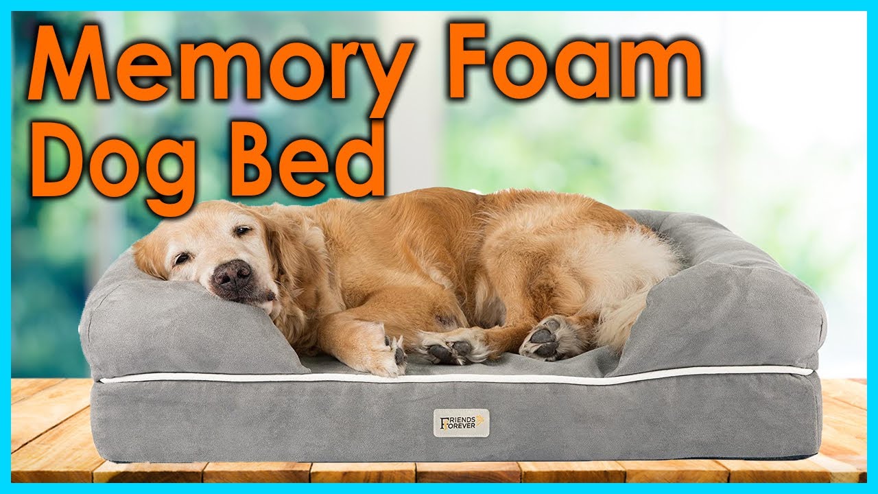 Best Memory Foam Dog Bed [Top 5 Picks]