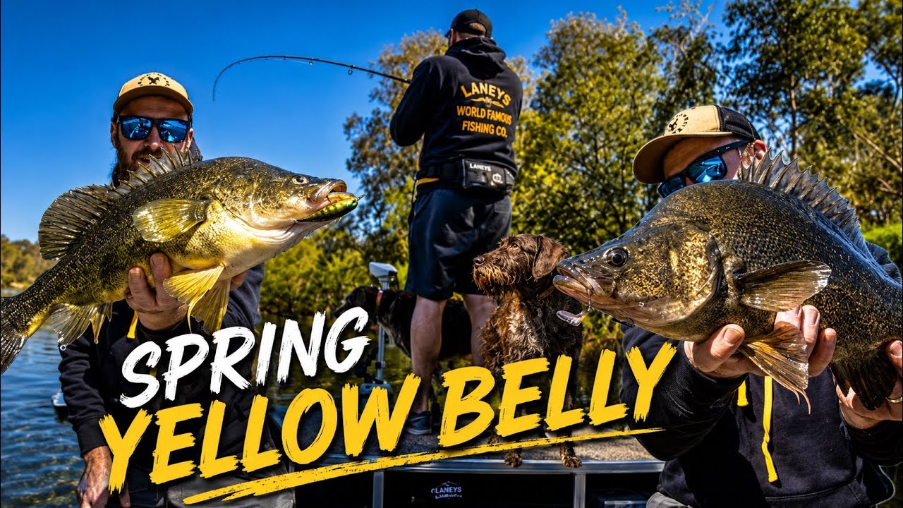 Early Spring Yellowbelly Fishing + Exciting Announcement | Murray River