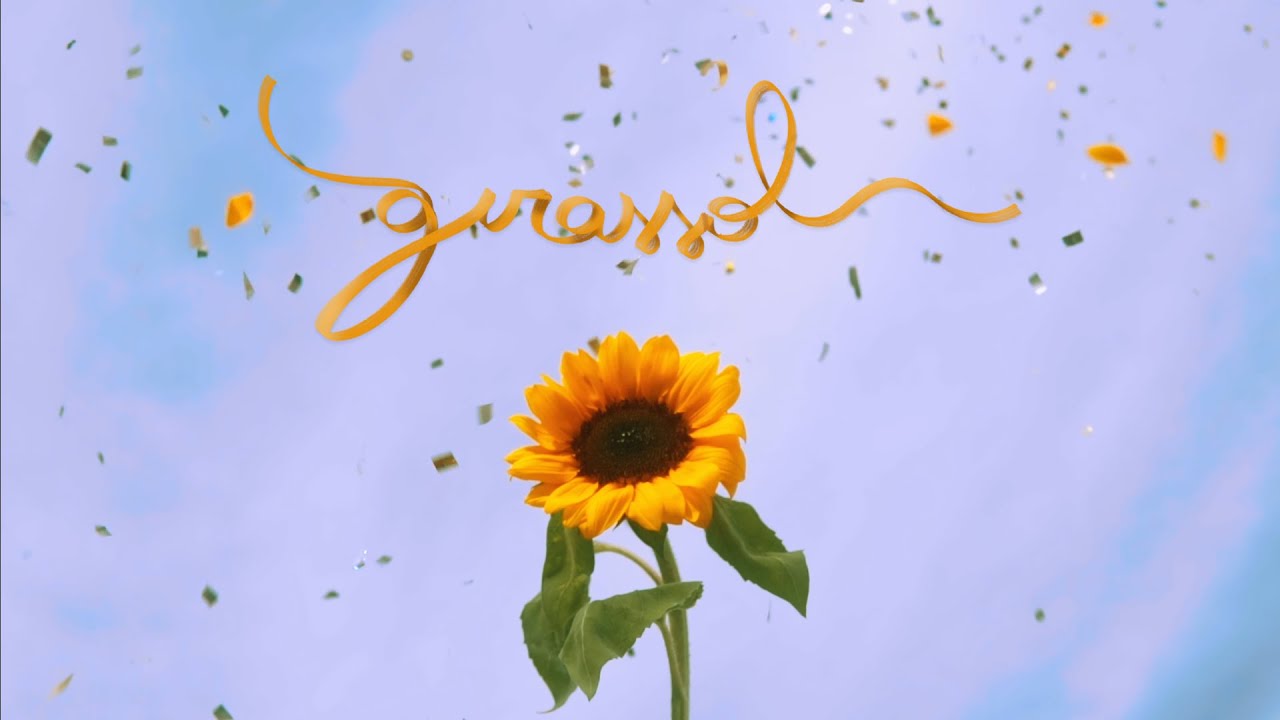 GIRASSOL (Visualizer) &bull; &Agrave;VU&Agrave;