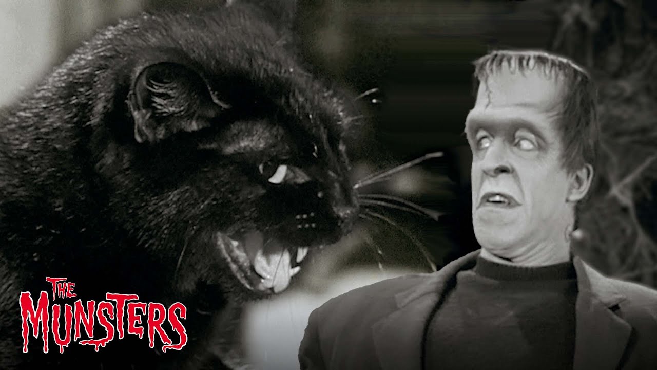 Best Of The Munsters Pets | Compilation | The Munsters