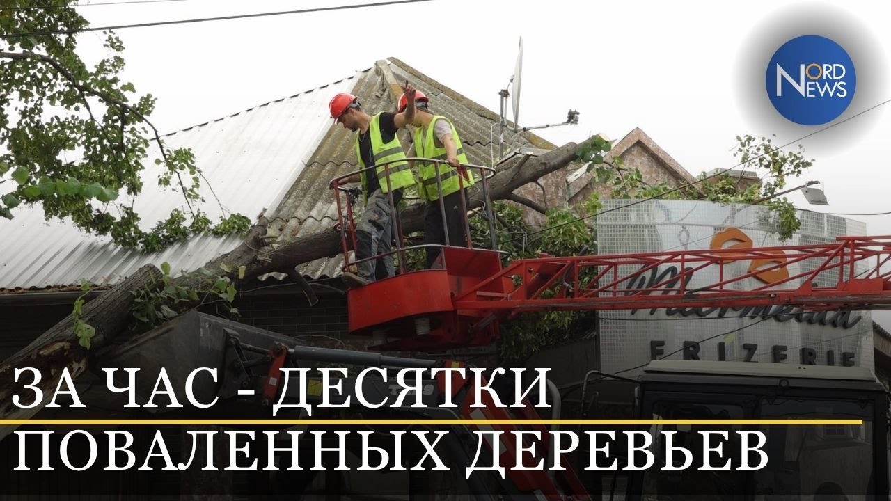 Ветер принёс хаос в Бельцы: повреждены транспорт и здания