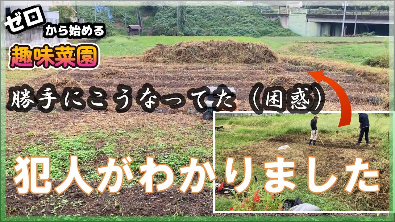 農業初心者の畑を勝手に草刈りをして耕した犯人がわかりました。