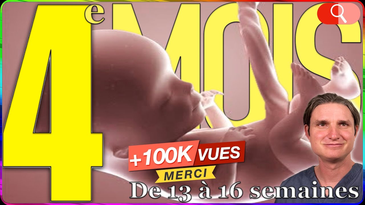 4 MOIS de GROSSESSE, comment est le bébé ? Symptômes ?
