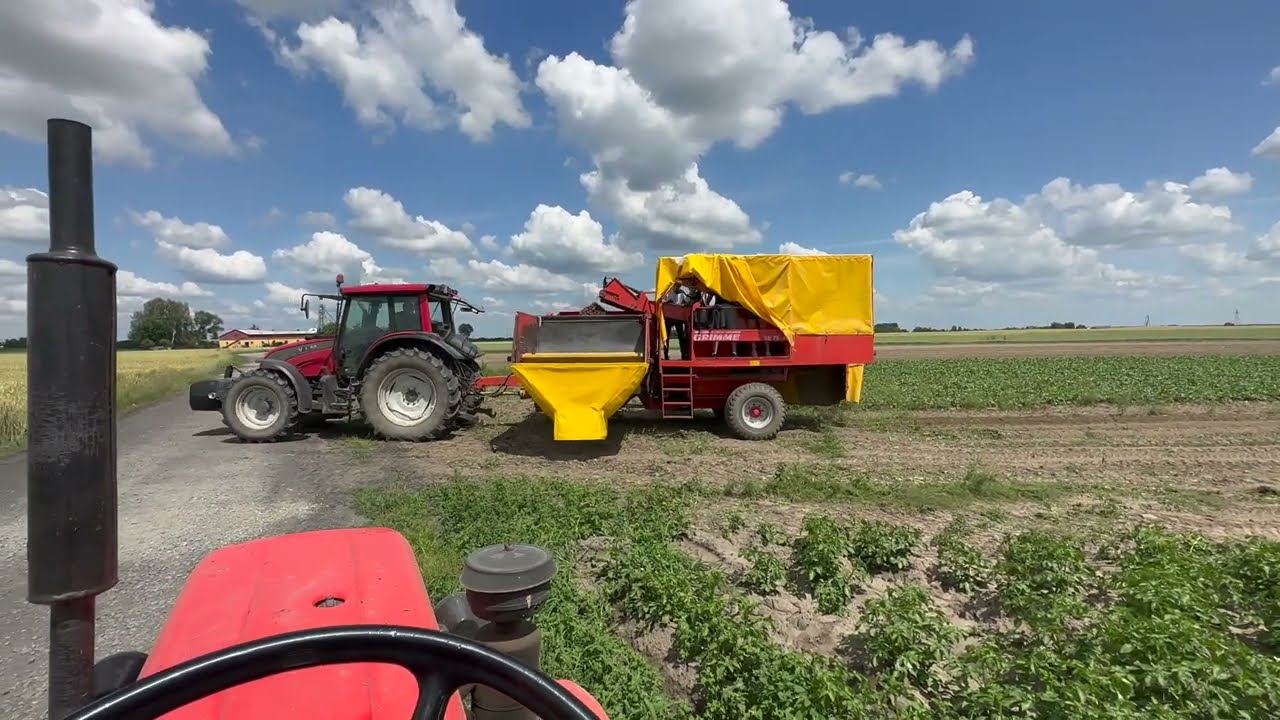 #697- Awaria w Grimme...! Drugi dzień zbiorów buraczka ćwikłowego! Poszło w mgnieniu oka- dożynki!
