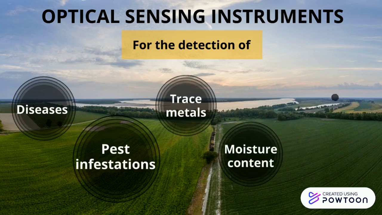 Remote sensing techniques in Precision Agriculture