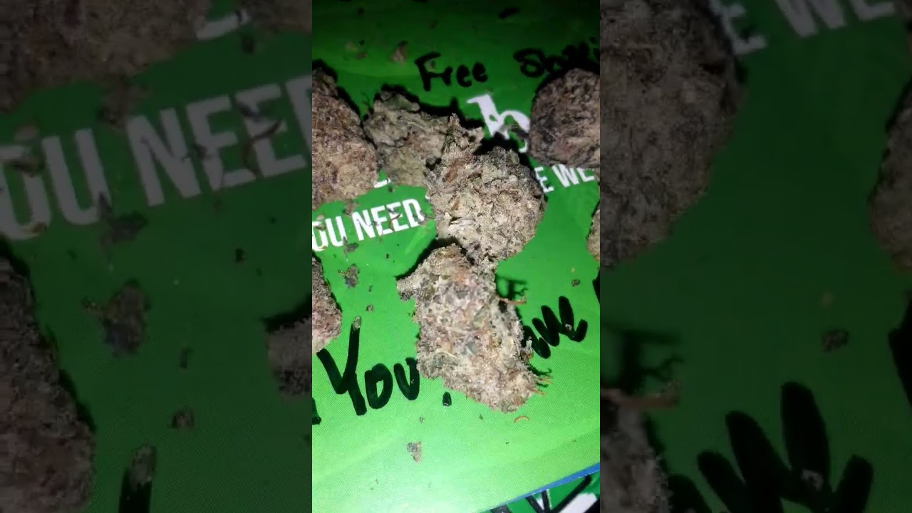 Canna Cured Black Cherry Soda THCA FLOWER REVIEW