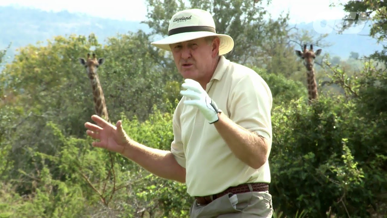 Bush Hacking with Tony Johnstone: Giraffe