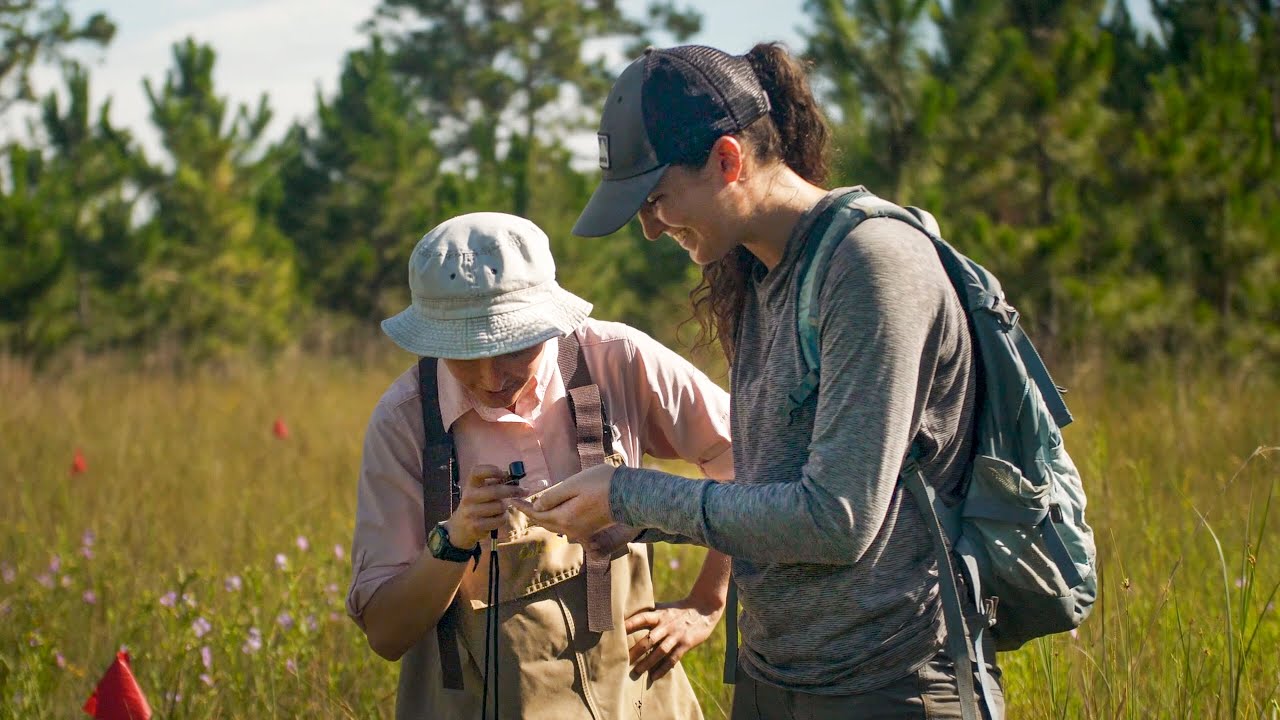 Plant Diversity and Wetlands: A Plant Ecology Research Spotlight