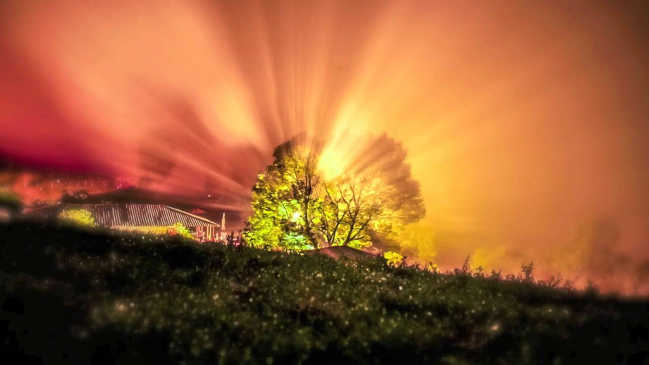 'The Magic Tree'- Original Composition by Alex Burnett