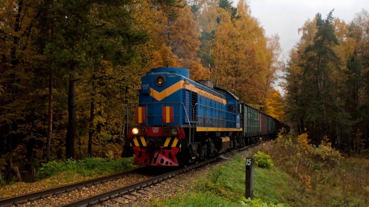 ПУСТЫЕ ПЕРЕГОНЫ - Лыткаринское ППЖТ
