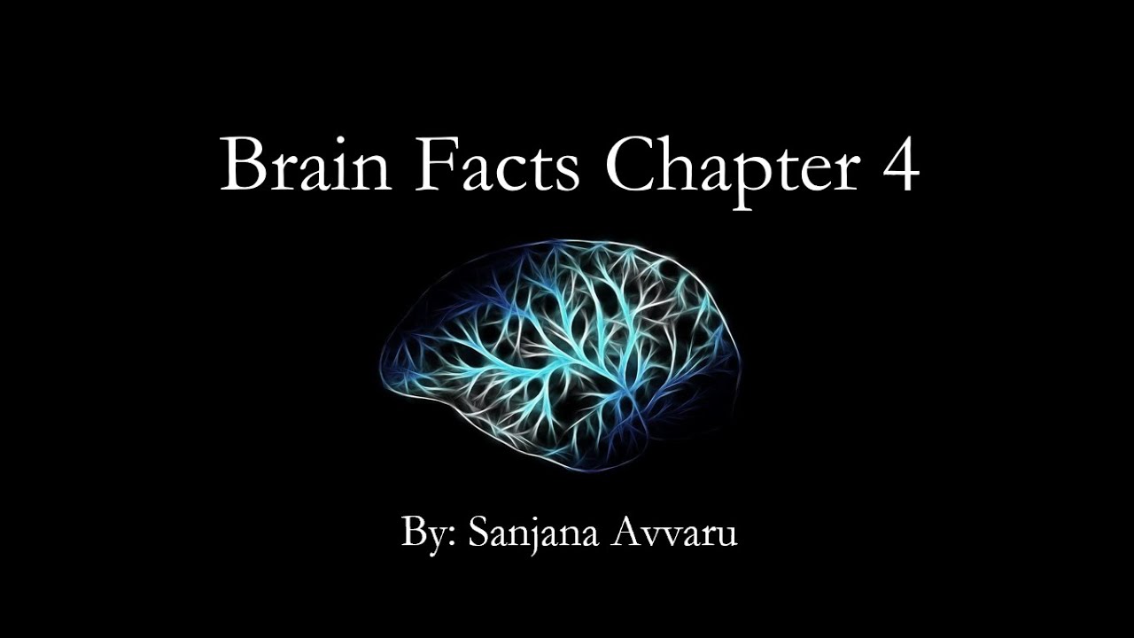 Learning, Memory, and Emotions(Brain Facts Chapter 4)