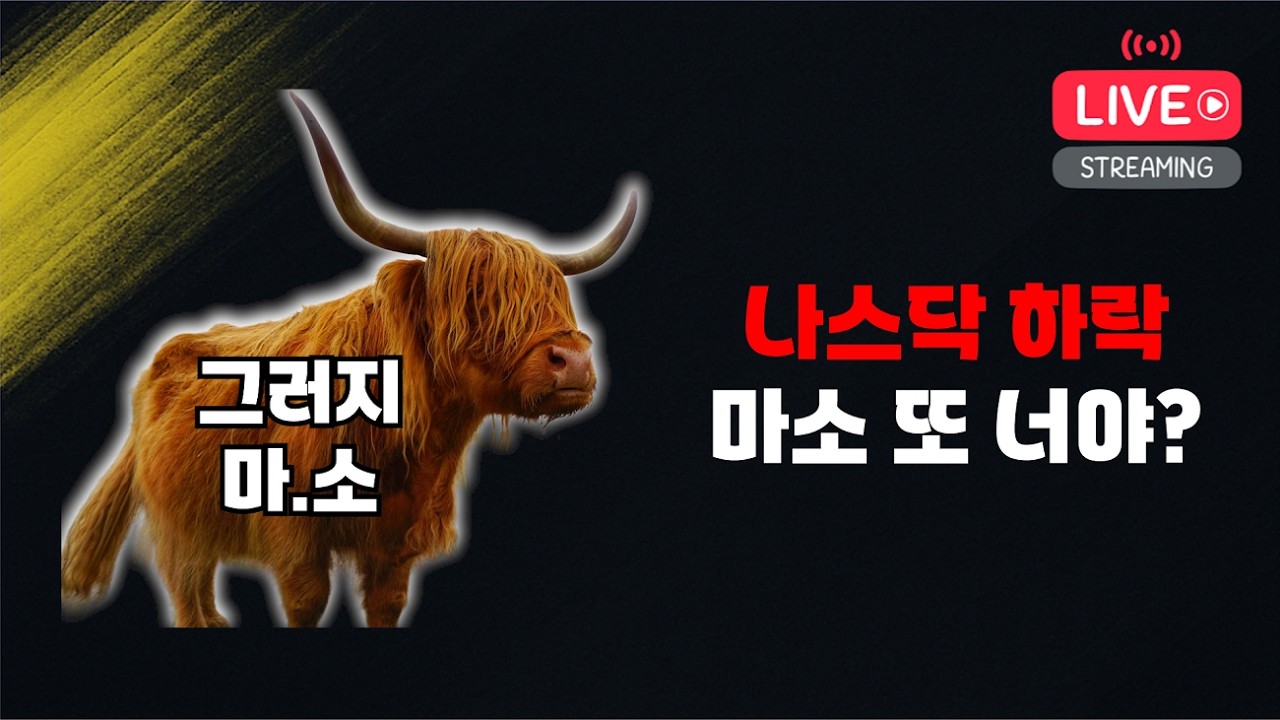 저는 파국을 싫어합니다. 파월씨 비둘기 주세요