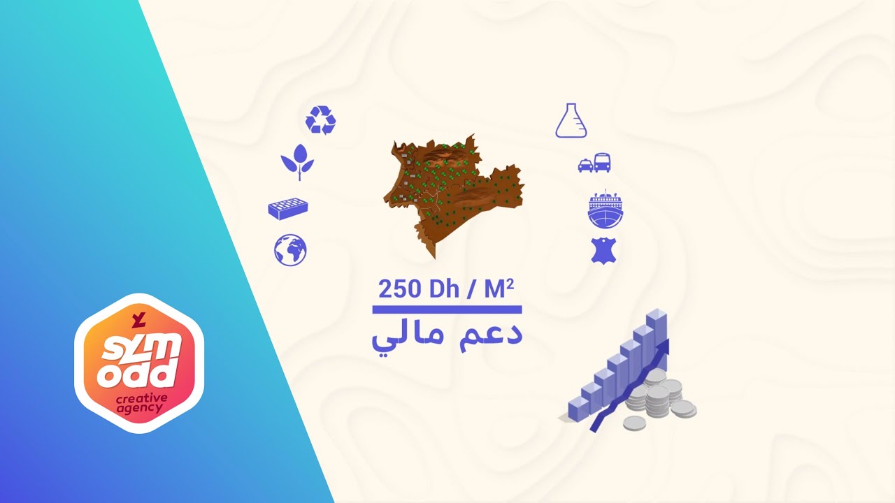 Cartographie digitale des zones industrielles Souss Massa / Centre R&eacute;gional d'Investissement