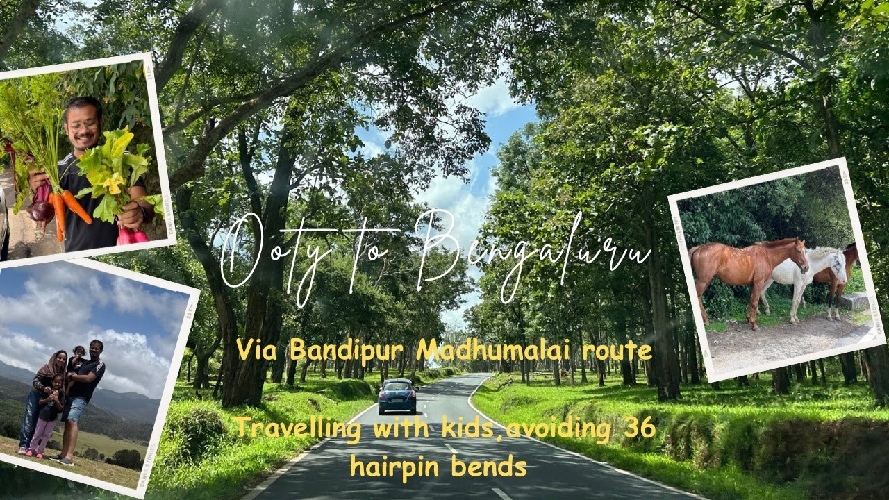 OOTY to BENGALURU via BANDIPUR |via GUDALUR avoiding 36 hairpin bends| Travelling with Kids