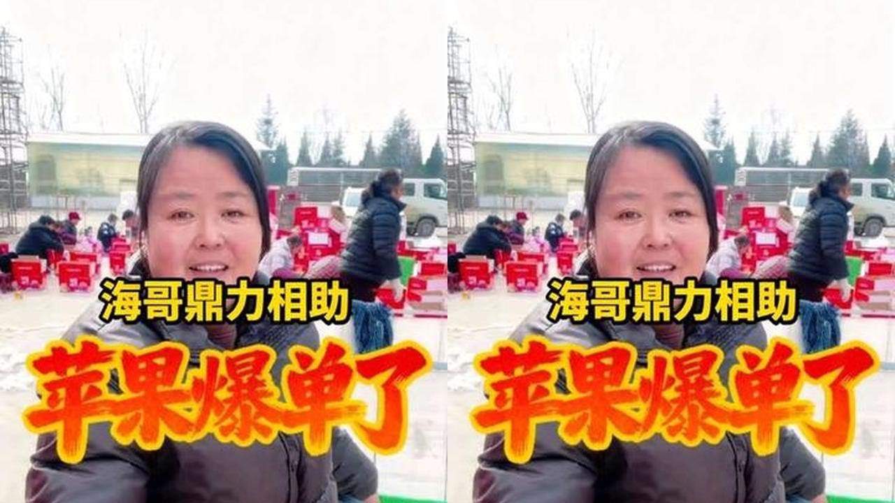 感谢海哥和地球村兄弟姐妹们鼎力相助，才是我们的苹果卖的这么好足足装了两大车。@海哥量地球