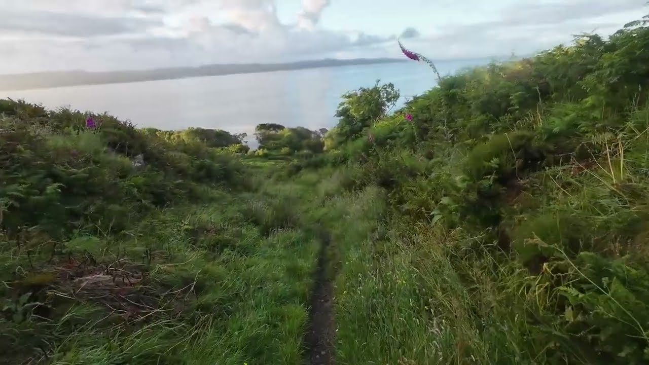 Spar Cave - July 2025