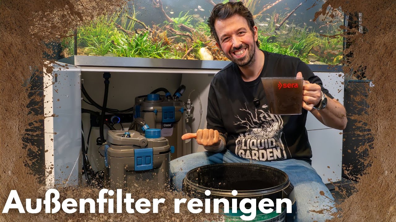 Außenfilter richtig reinigen und Wartung!