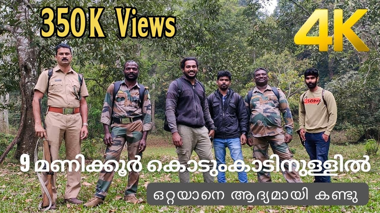 കൊടുംകാടിനുള്ളിൽ നീണ്ട 9 മണിക്കൂർ  !!! 4K