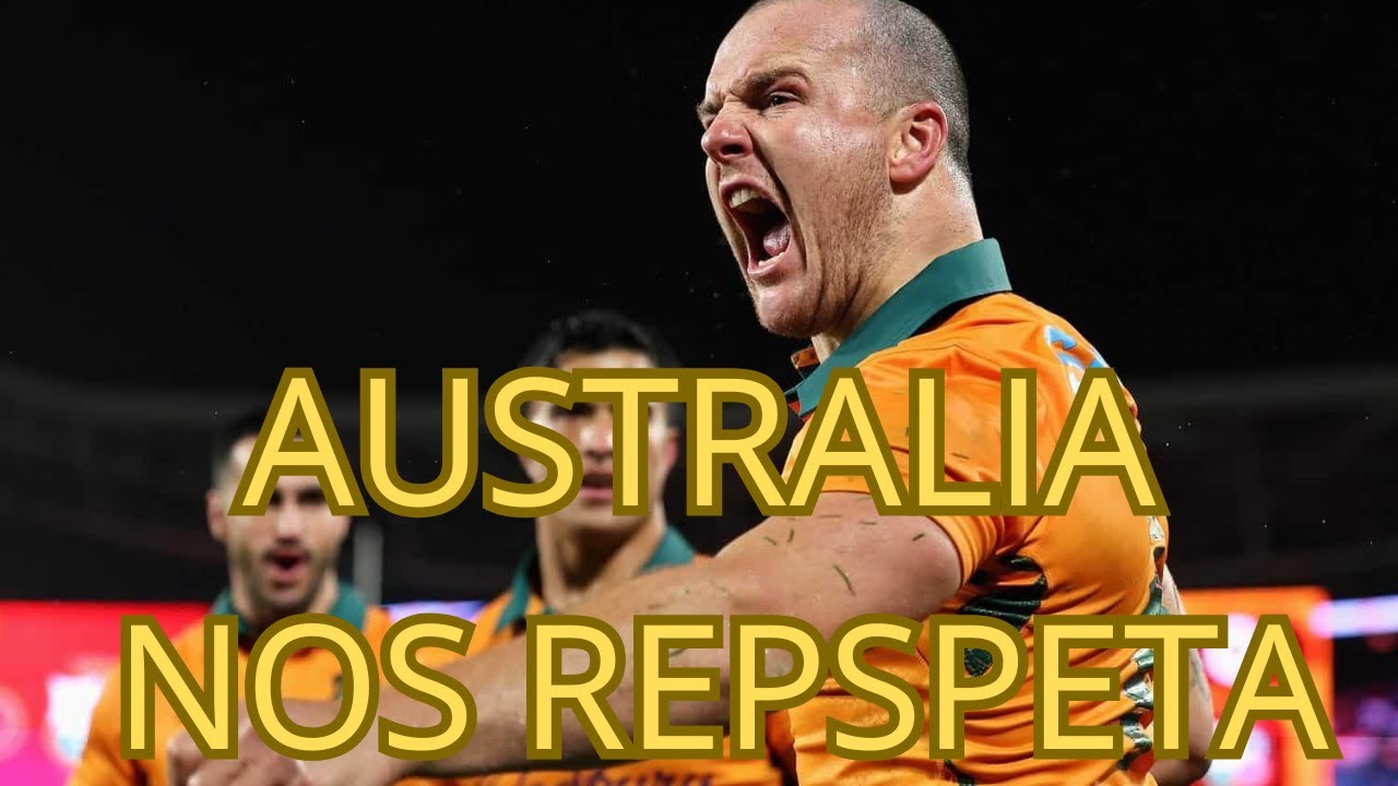 ¿COMO VEN LOS WALLABIES A LOS PUMAS?