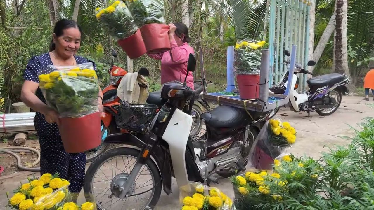 Đi chợ quê ngày Tết - Mợ Bảy Miền Tây