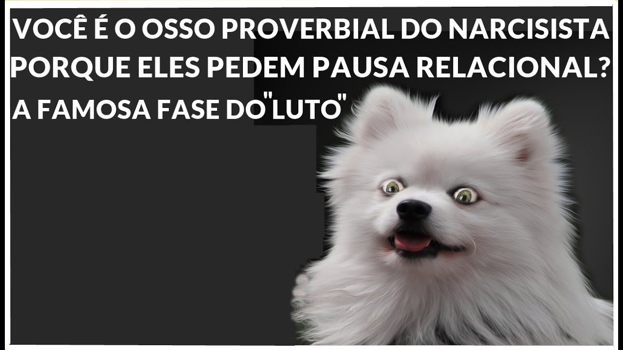 OSSO PROVERBIAL + PORQUE NARCISISTA PEDE UMA  PAUSA NO RELACIONAMENTO + O FAMOSO LUTO