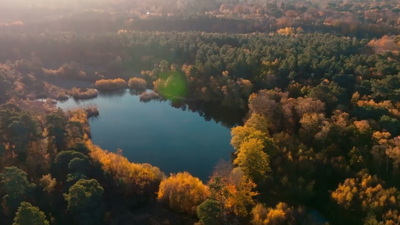 Esher Common & Surrey Hills - Drone Stock Footage